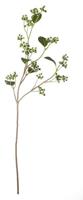 ASA Kunstpflanzen & -blumen Brombeerzweig grün 77,5 cm (grün)