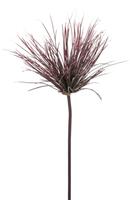 Flower & Style Kunstpflanzen & -blumen Cyperuszweig purpur 73 cm (lila)
