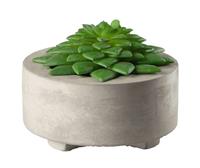 ASA Kunstpflanzen & -blumen Maxi Sukkulente II im grauen Betontopf grün 10,5cm (grün)