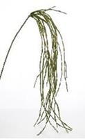 Flower & Style Kunstpflanzen & -blumen Zweig hängend grün 160 cm (185673) (grün)