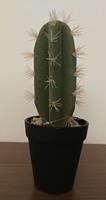 ASA Kunstpflanzen & -blumen Kaktus indische Feige im Topf 26 cm (grün)