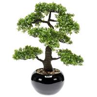 emerald Kunstpflanze Bonsai Ficus  Grün