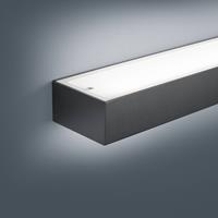 helestra LED Wandleuchte Theia in Schwarz-matt 12W 495lm 300mm - 