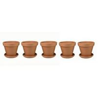 plantenwinkel.nl Terracotta bloempotten 48 cm met schotel penta set