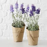 Boltze Kunstpflanzen & -blumen Topfpflanze Lavendel 32 cm sortiert (1 Stück) (lila)