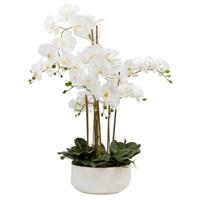 PUREDAY Kunstpflanze Orchideentopf Royal Kunstpflanzen weiß