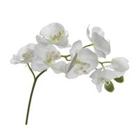 HTI-Living Orchideenzweig Kunst 9 Blüten weiß