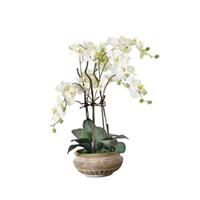 PUREDAY Kunstpflanze Orchideentopf Antik Kunstpflanzen weiß