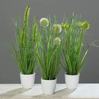 EK Kunstpflanzen & -blumen Gras im weissen Topf 36 cm, sortiert (1 Stück) (grün)