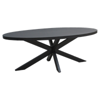 Wants&Needs Furniture Eettafel Kala Oval Spider 78 x 24 x 110