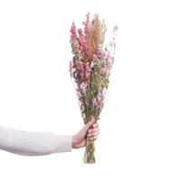 Butlers FLOWER MARKET Trockenblumen Blumenstrauß Kunstpflanzen bunt