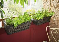 HOME Living Balkonpflanzer Polyrattan Blumentöpfe braun