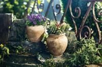 HOME Living Pflanztopf Terracotta Blumentöpfe natur