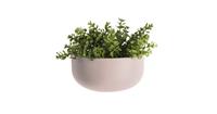 PT Living Wall Plant Pot Oval Wide