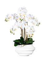 Phalaenopsis, real touch, Höhe 750 mm, weiß, Kunststoffvase weiß