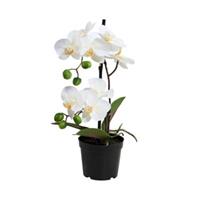 Butlers FLORISTA Orchidee im Topf 35 cm Kunstblumen weiß