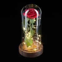 Relaxdays Ewige Rose im Glas mit Licht mehrfarbig