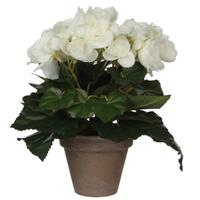 Witte Begonia Kunstplant Met Bloemen 25 Cm In Grijze Pot - Kunstplanten/nepplanten - Voor Binnen
