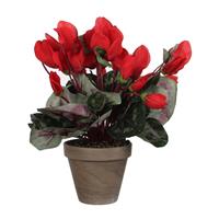 Cyclaam Kunstplant Rood In Keramieken Pot H30 X D30 Cm - Kunstplanten/nepplanten Met Bloemen