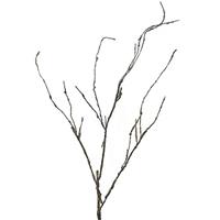 Wood Twig Cordata 95 cm kunsttak Nova Nature