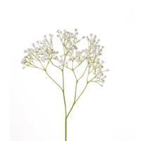 Kunstbloemen Gipskruid/gypsophila Takken Wit 58 Cm - Kunstplanten En Steelbloemen