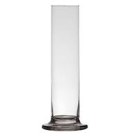 Transparante Luxe Stijlvolle 1 Bloem Vaas/vazen Van Glas 25 X 6 Cm - Roos Met Valentijn Vaas Voor Binnen