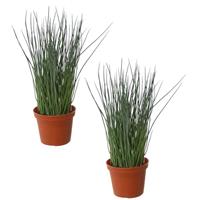 Set Van 2x Stuks Groene Grasplant Kunstplanten In Bruine Kunststof Pot 29 Cm - Pennisetum - Woondecoratie