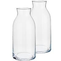 Set Van 2x Stuks Bloemenvazen Van Glas 15 X 31 Cm - Glazen Transparante Cilinder Vazen
