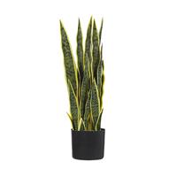 Beliani Snake Plant Kunstplant Synthetisch Materiaal 1 X Kunstpflanze X 15 Cm