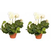 2x Kunstplant Geranium Wit 30 Cm - Kunstplanten/nepplanten