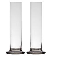 2x Stuks Transparante Luxe Stijlvolle 1 Bloem Vaas/vazen Van Glas 25 X 6 Cm - Roos Met Valentijn Vaas Voor Binnen