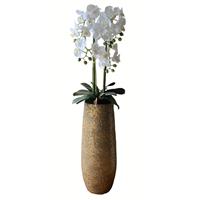 Levensechte Kunst Orchidee / Phalaenopsis Plant 75 Cm Met Zwarte Pot ( 5-taks Vol Bloemen) Kleur Wit