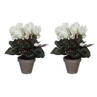 2x Stuks Cyclaam Kunstplanten Wit In Keramieken Pot H30 X D30 Cm Cm - Kunstplanten/nepplanten