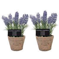 2x Stuks Kunstplanten Lavendel In Terracotta Pot 23 Cm - Kunstplanten/nepplanten