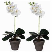 2x Stuks Phalaenopsis Orchidee Kunstplanten Wit In Pot H48 X D13 Cm Cm - Kunstplanten/nepplanten Met Bloemen