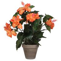 Hibiscus Kunstplant Oranje In Keramieken Pot H40 X D30 Cm Cm - Kunstplanten/nepplanten Met Bloemen