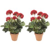 Set Van 2x Stuks Kunstbloemen Kunstplant Rode Geranium 35 Cm Met 5 Bloem Series