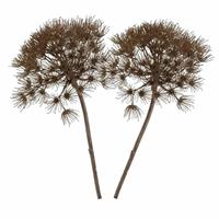 2x Stuks Berenklauw / Heracleum Kunstbloem 80 Cm Kunstbloem - Kunstbloemen Boeketten