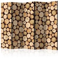 ARTGEIST 5teiliges Paravent In sawmill II Ro cm 225x172 - 