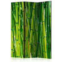 ARTGEIST 3teiliges Paravent Bamboo Forest Ro cm 135x172 - 