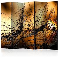 ARTGEIST 5teiliges Paravent Dandelions in the cm 225x172 - 