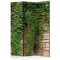 ARTGEIST 3teiliges Paravent Ivy wall Room Di cm 135x172 - 