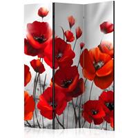 ARTGEIST 3teiliges Paravent Poppies in the Mo cm 135x172 - 