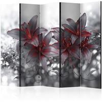 ARTGEIST 5teiliges Paravent Shadow of Passion cm 225x172 - 