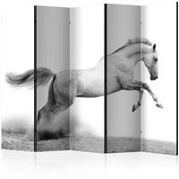 ARTGEIST 5teiliges Paravent White gallop II cm 225x172 - 