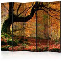 ARTGEIST 5teiliges Paravent Autumn forest an cm 225x172 - 