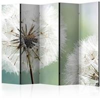 ARTGEIST 5teiliges Paravent Two dandelions II cm 225x172 - 