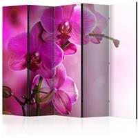 ARTGEIST 5teiliges Paravent Pink orchid II R cm 225x172 - 