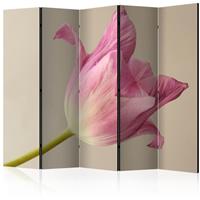 ARTGEIST 5teiliges Paravent Pink tulip II Ro cm 225x172 - 