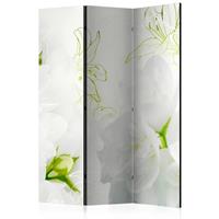 ARTGEIST 3teiliges Paravent Jasmine Room Div cm 135x172 - 